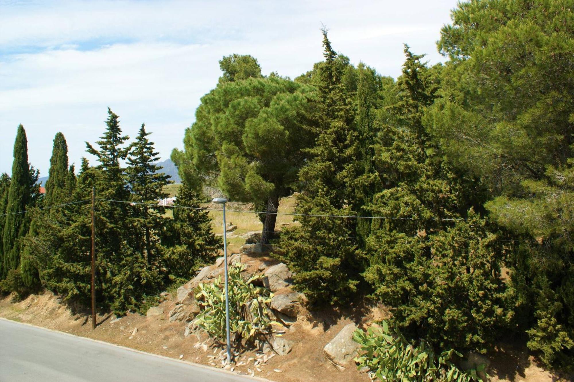 Apartamento En Roses Parking Y Piscina Comunitaria Av-54 Exterior foto